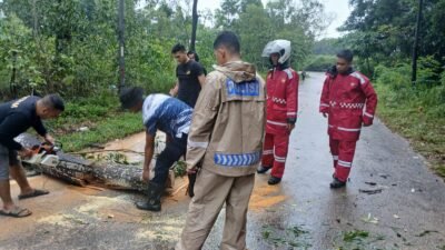 Polresta Barelang dan Polsek Nongsa Tetap Siaga di Tengah Libur Hari Kenaikan Isa Almasih, Evakuasi Pohon Tumbang Demi Kelancaran Lalu Lintas