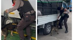 Hadirkan Rasa Aman, Satgas Gakkum Dan Unit K9 Polda Kepri Periksa Barang Bawaan Penumpang Di Pelabuhan Roro Punggur