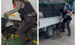 Hadirkan Rasa Aman, Satgas Gakkum Dan Unit K9 Polda Kepri Periksa Barang Bawaan Penumpang Di Pelabuhan Roro Punggur